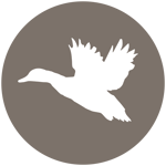 FoldinFowlLogo_circle-duck
